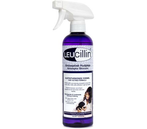 Leucillin Spray 250 ML
