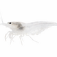 Snowwhite Amanoreje  - Caridina multidentata / Caridina japonica "Snowwhite"