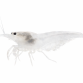 Amanoreje Snowwhite - Caridina japonica "Snowwhite"
