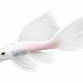 Snow White Longfin Ancistrus - Ancistrus sp. "Snow White Longfin"