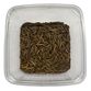 Melorme (Tenebrio molitor) 50g