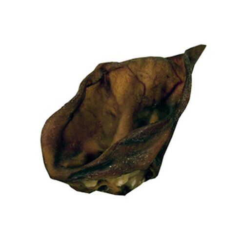 Griseøre