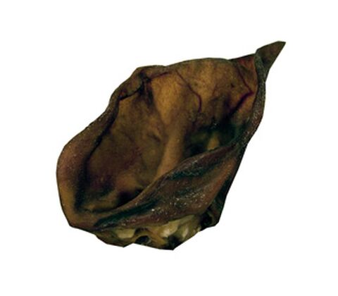 Griseøre