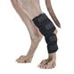 Hassebandage til hund