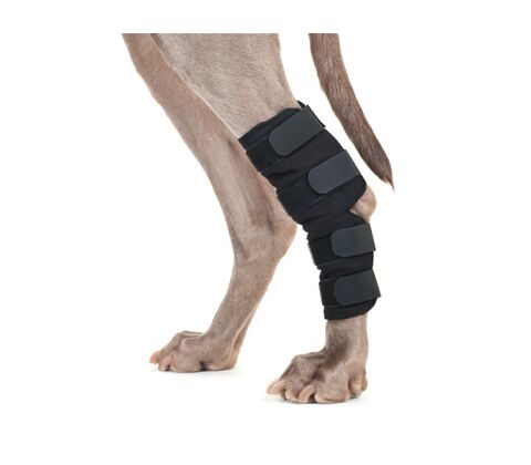 Hassebandage til hund