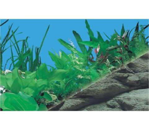 3D baggrund til akvarie