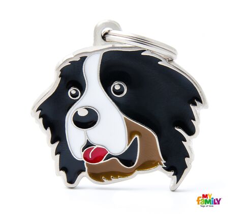 Berner Senner