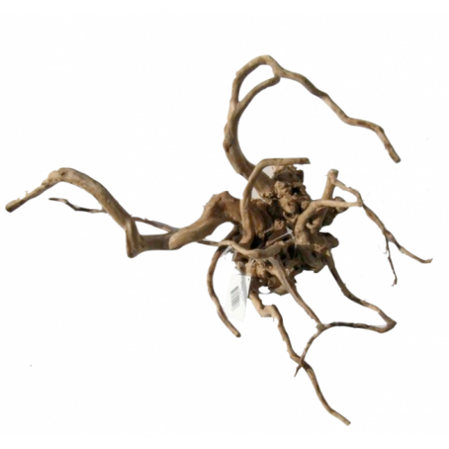 Desert Root M (30-43 cm)