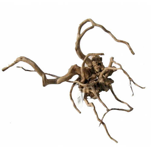 Desert Root M (30-43 cm)