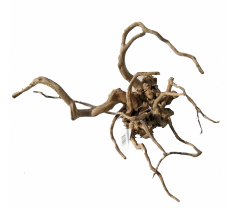 Desert Root M (30-43 cm)