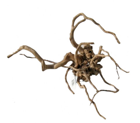 Desert Root M (30-43 cm)