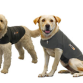 Thundershirt