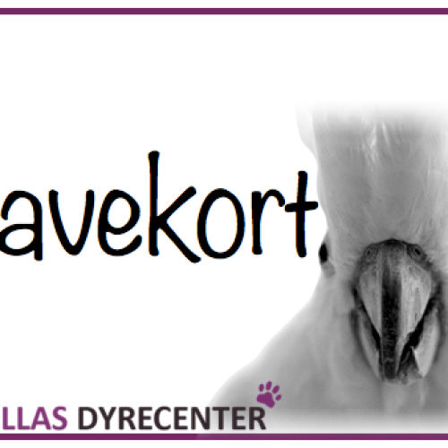 Gavekort