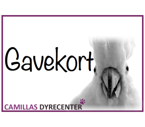 Gavekort