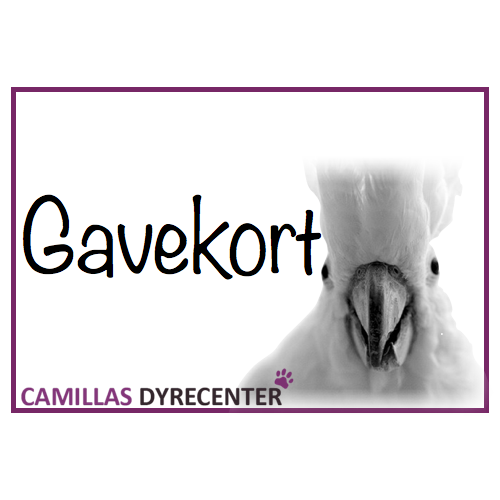 Gavekort