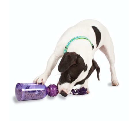 Busy Buddy Tug-a-Jug