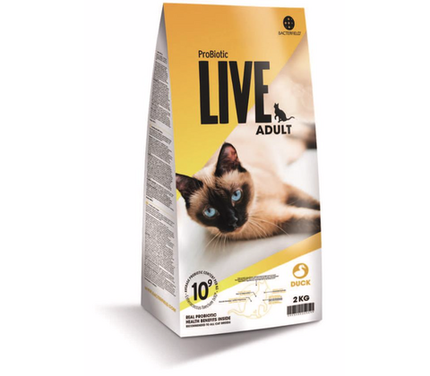 LIVE Adult And