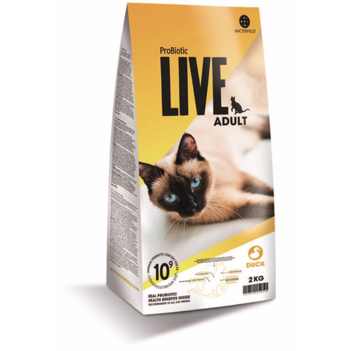 LIVE Adult And