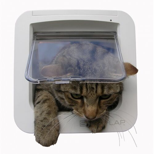 SureFlap microchip kattelem
