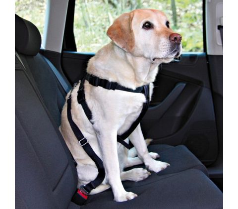 Trixie sikkerhedssele til bilen