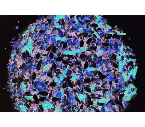 Natural IGP special 15kg