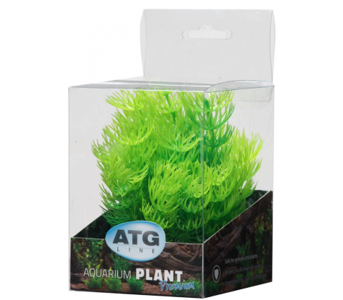 Premium plast plante 8-14 cm