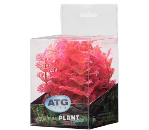 Premium plast plante 8-14 cm