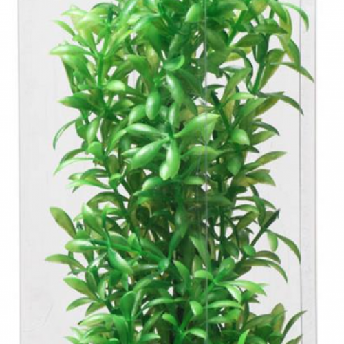 Premium plast plante 26-32 cm
