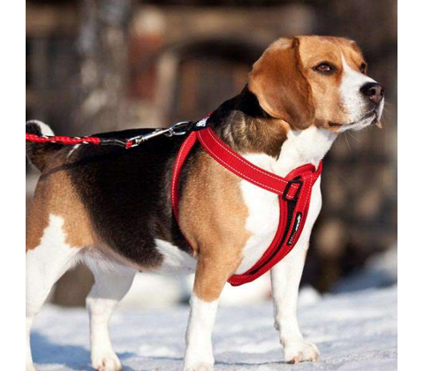 EzyDog Chest Plate Sele 
