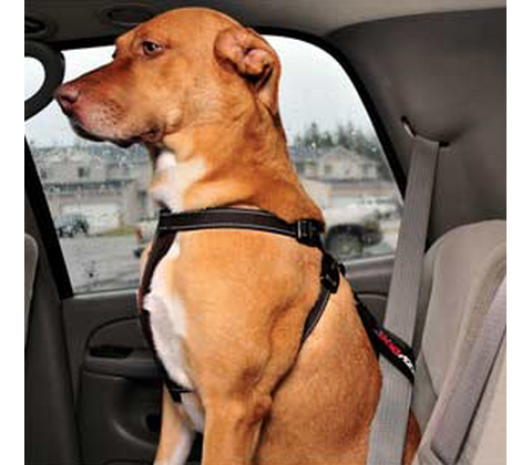 EzyDog Chest Plate Sele 