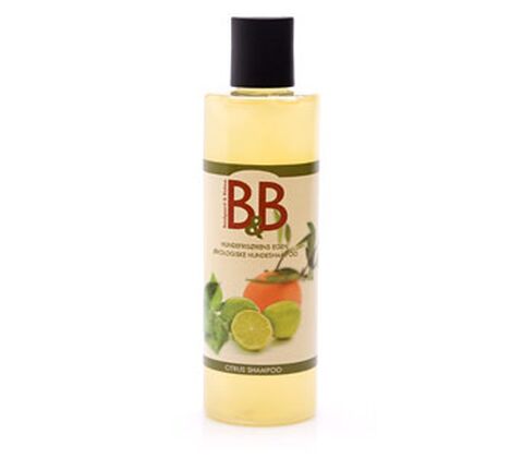 B & B Shampoo citrus