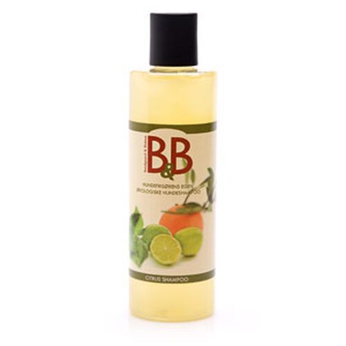 B & B Shampoo citrus