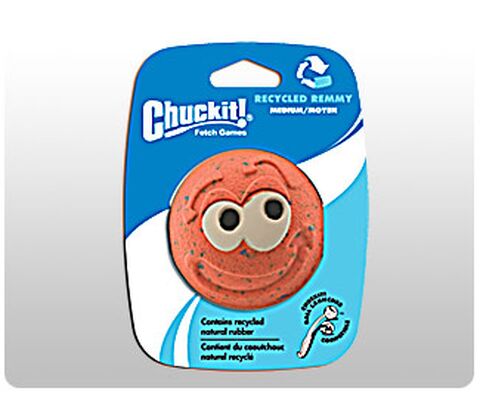 Chuckit Recycled Remmy