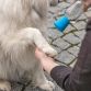 Trixie Mobil hundebruser