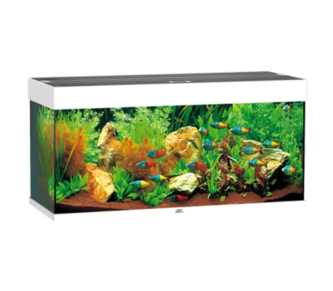 Juwel Rio 180 liter - sort eller hvid