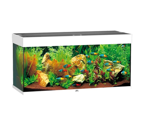 Juwel Rio 180 liter - sort eller hvid