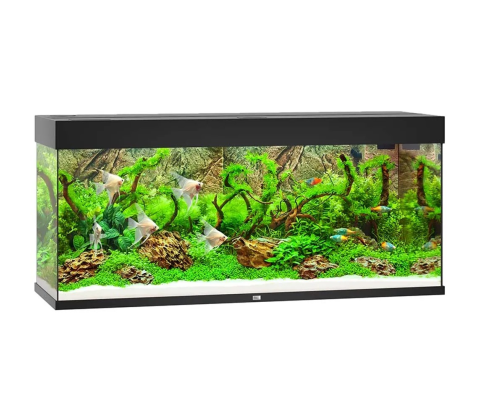 Juwel Akvarium Led Rio 240 