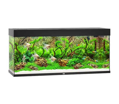 Juwel Akvarium Led Rio 240 