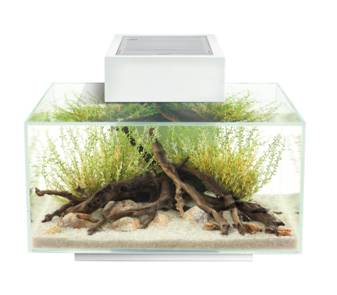 Fluval Edge II 23 ltr. - Hvid