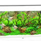 Juwel Akvarium Led Rio 240 