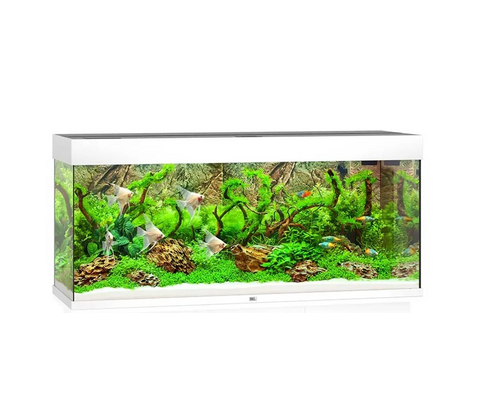 Juwel Akvarium Led Rio 240 