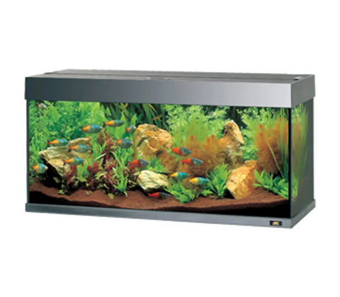 Juwel Rio 180 liter - sort eller hvid