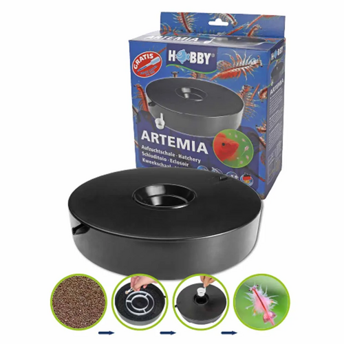 Artemia hatchery