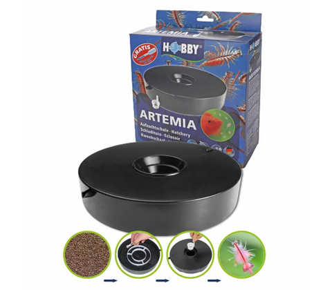 Artemia hatchery