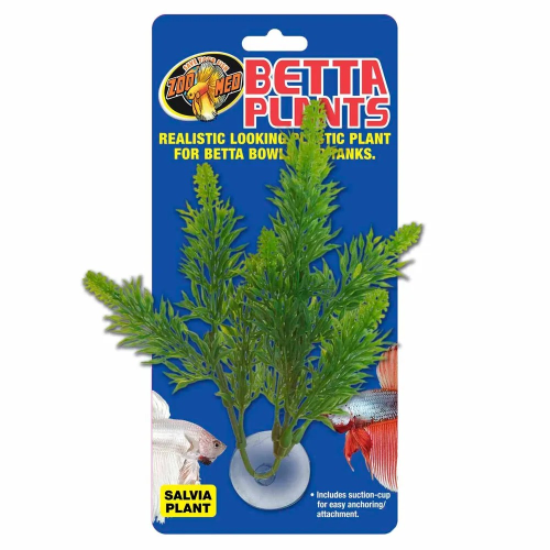 Zoo Med Betta Plantsalvia 