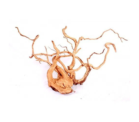 Desert Root M (30-43 cm.) 