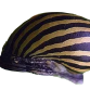 Zebra Snegle - Neritina turrita