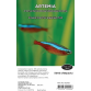 Artemia flatpack 500g