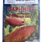 AK Daphnier(Rød), bl. á 100 g.