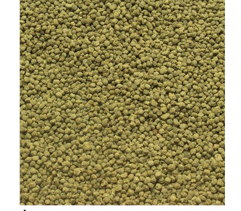 Jbl Pronovo Red Grano M 100ml Click